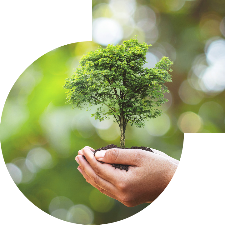 关怀人类、文化、环境与社会